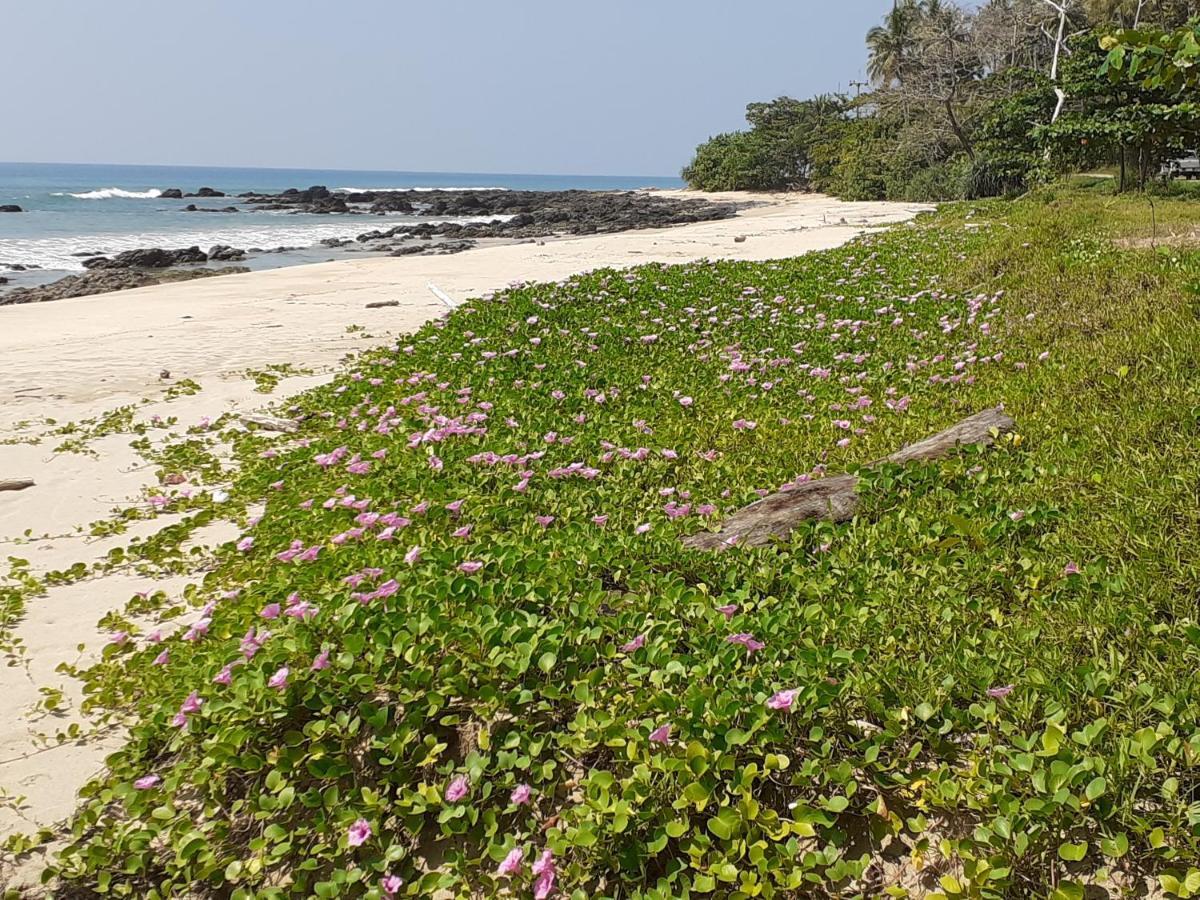Lanta Daisy Residence Ko Lanta Exteriér fotografie